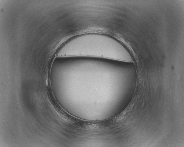 X0000061730062200512021026