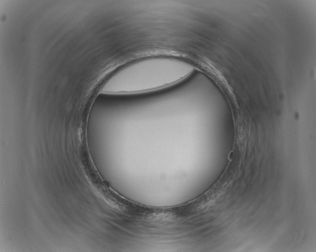 X0000061730063200512021026