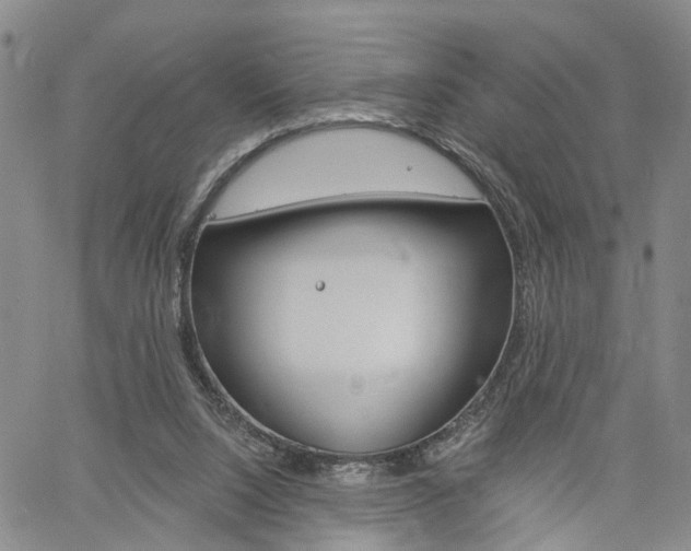 X0000061730064200512021026