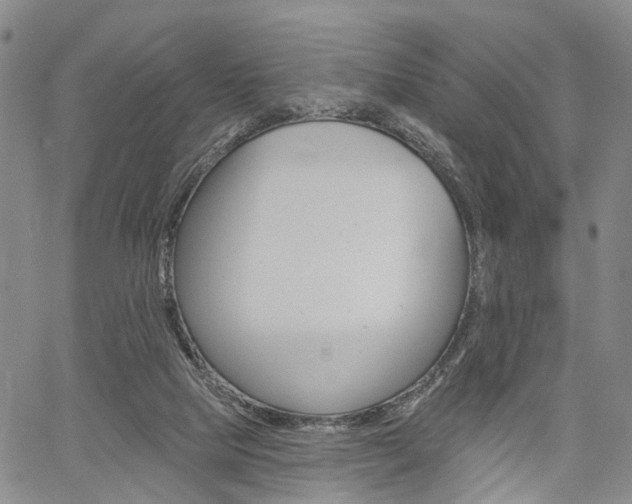 X0000061730065200512021026