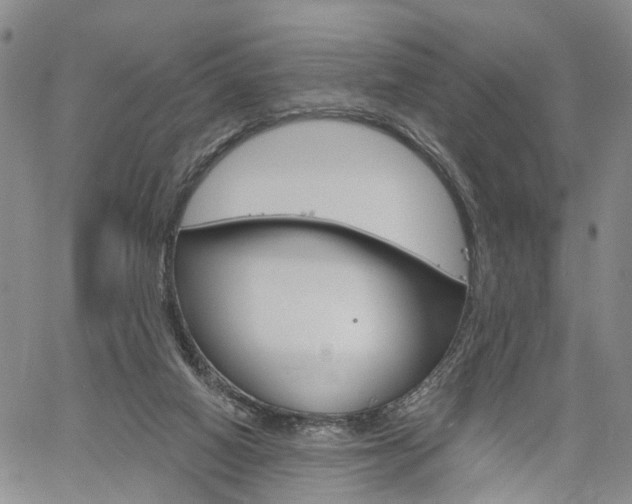 X0000061730066200512021026