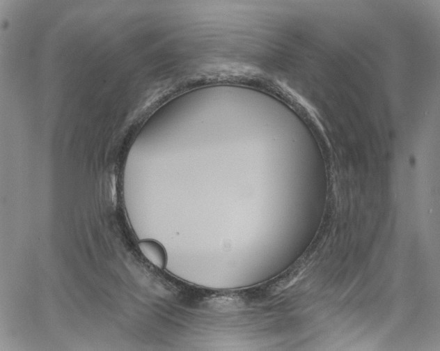 X0000061730067200512021026