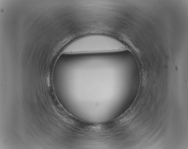 X0000061730068200512021026