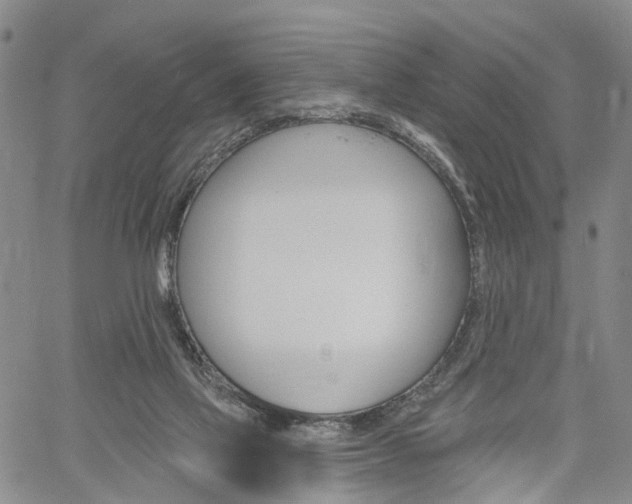 X0000061730069200512021026