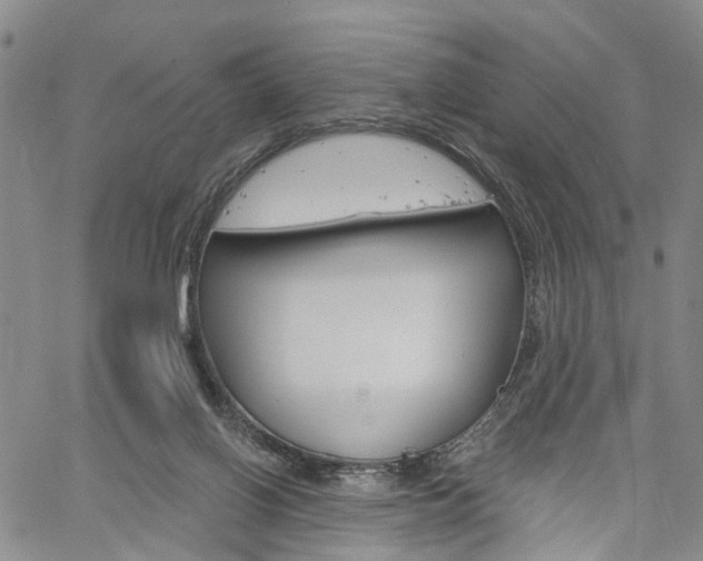 X0000061730070200512021026