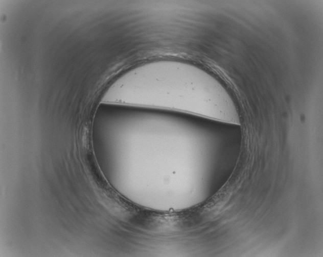 X0000061730071200512021026