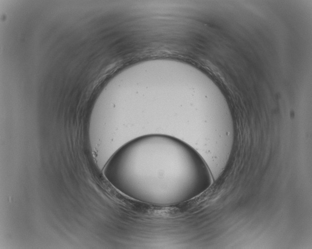 X0000061730072200512021026