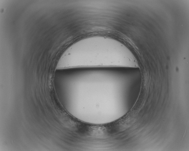 X0000061730073200512021026