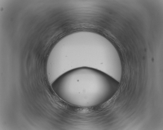 X0000061730074200512021026