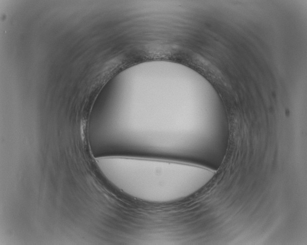 X0000061730075200512021026