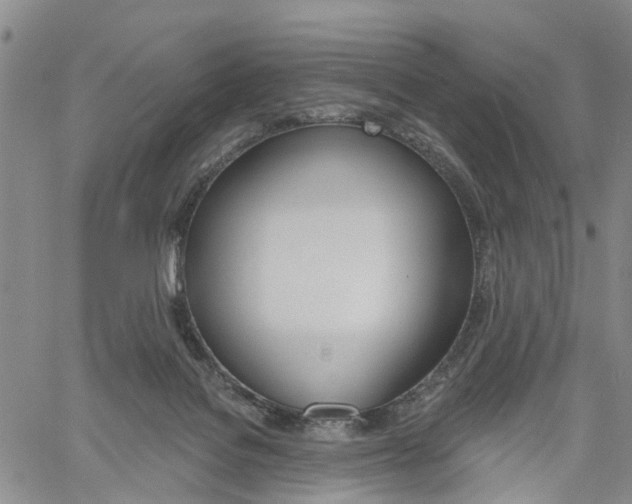 X0000061730076200512021026