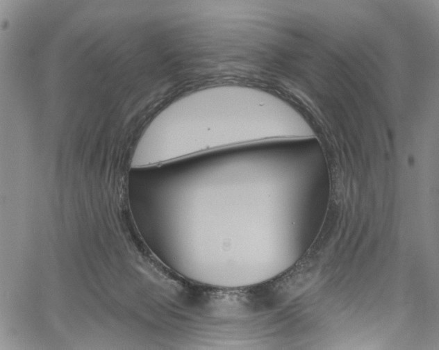 X0000061730077200512021026