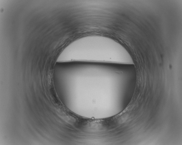 X0000061730078200512021026