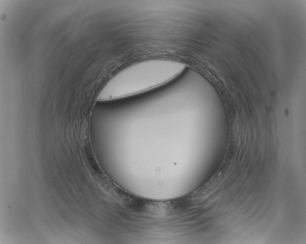 X0000061730079200512021026