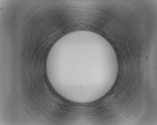 X0000061730080200512021026