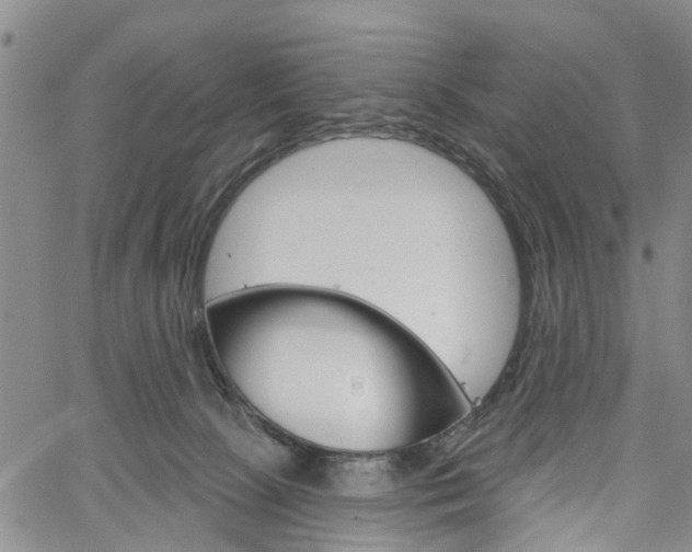 X0000061730081200512021026