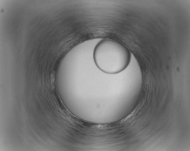 X0000061730082200512021026