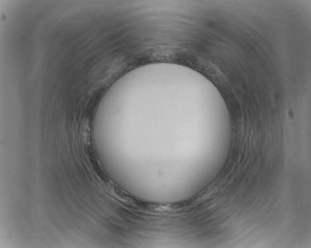 X0000061730083200512021026