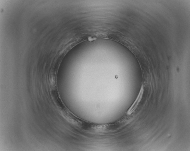 X0000061730084200512021026