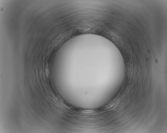 X0000061730085200512021026