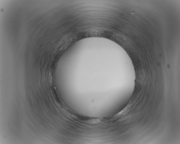 X0000061730086200512021026