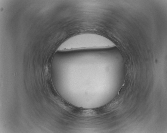 X0000061730087200512021026