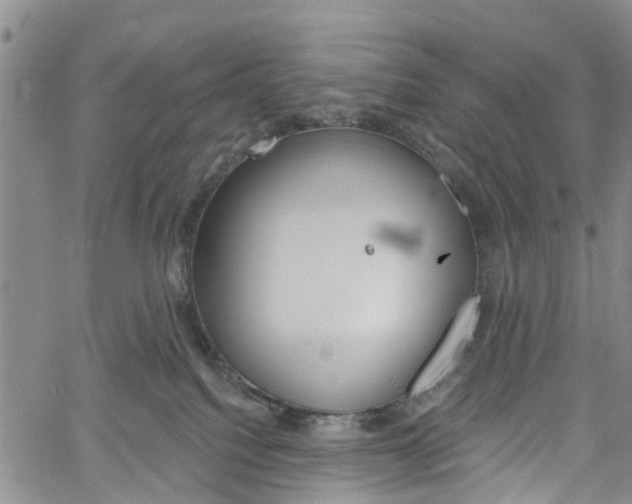 X0000061730088200512021026