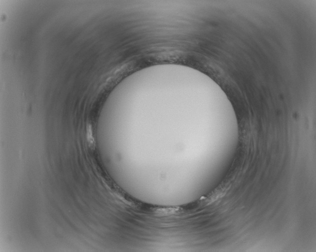 X0000061730089200512021026