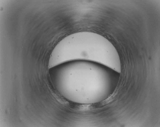 X0000061730090200512021026