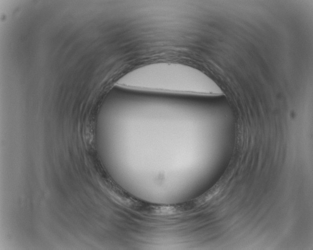 X0000061730091200512021027