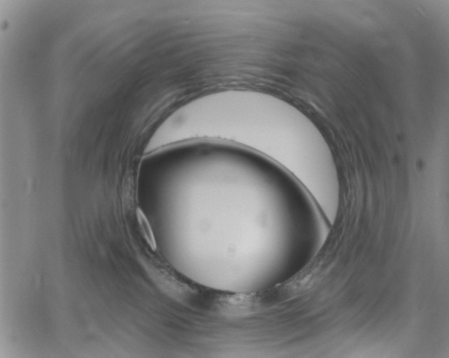 X0000061730092200512021027