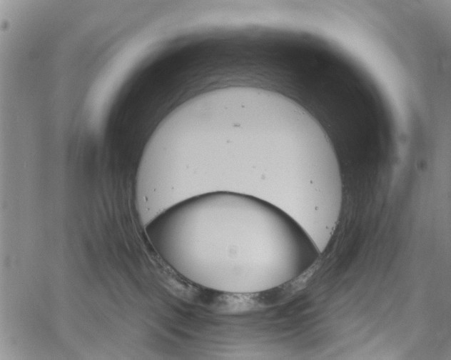 X0000061730093200512021027