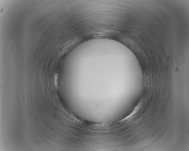 X0000061730094200512021027