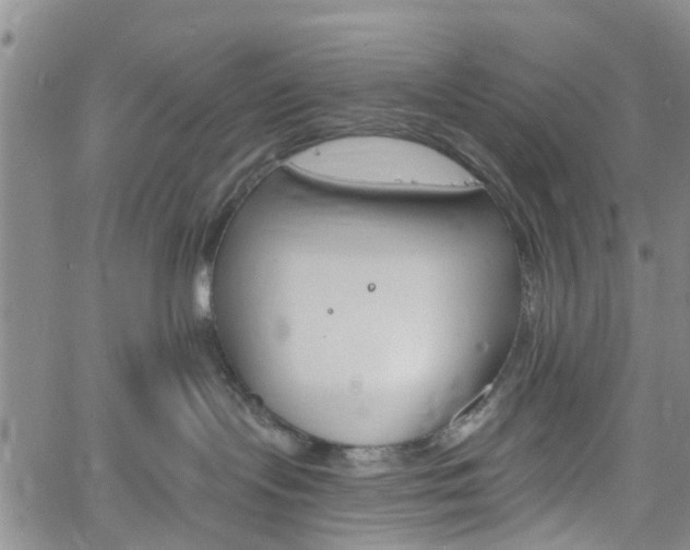 X0000061730095200512021027