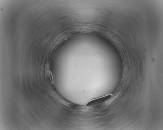 X0000061730096200512021027