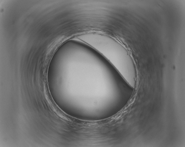 X0000061730097200512021026