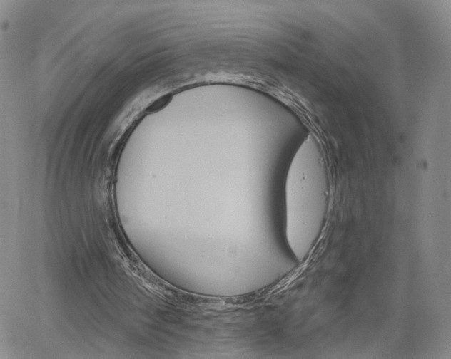 X0000061730098200512021026