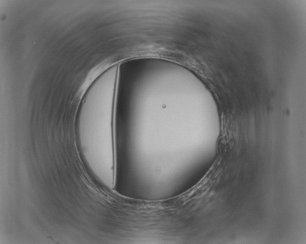 X0000061730099200512021026