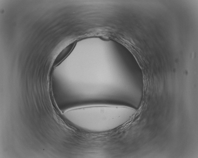 X0000061730100200512021026