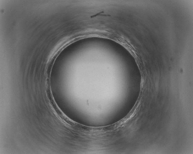 X0000061730101200512021026