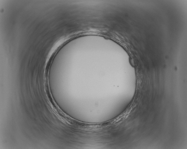 X0000061730102200512021026