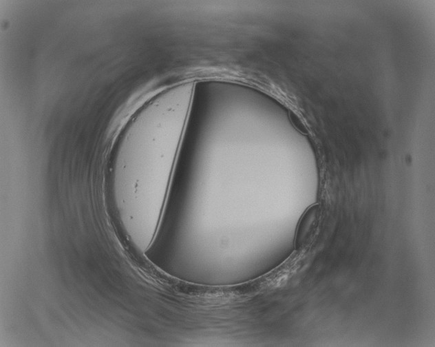 X0000061730103200512021026