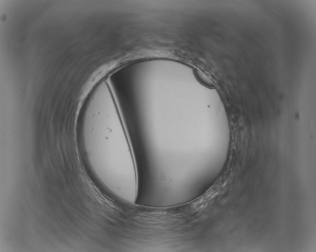 X0000061730104200512021026