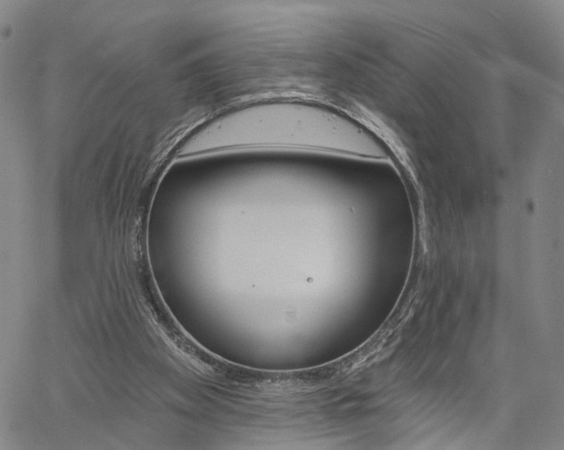 X0000061730105200512021026