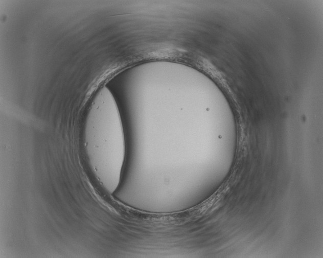 X0000061730106200512021026