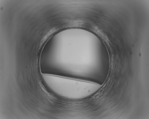 X0000061730107200512021026