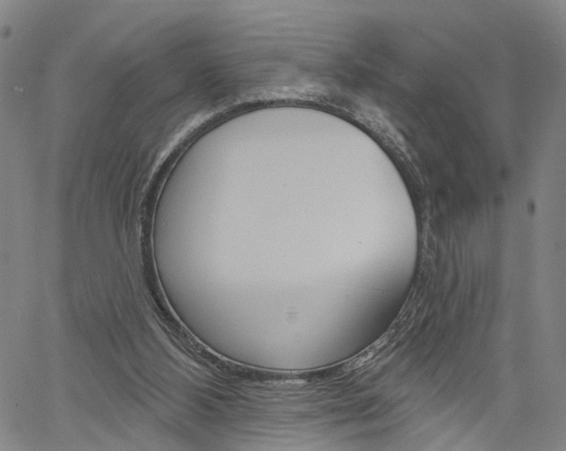 X0000061730108200512021026