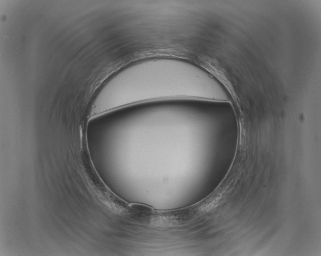 X0000061730109200512021026