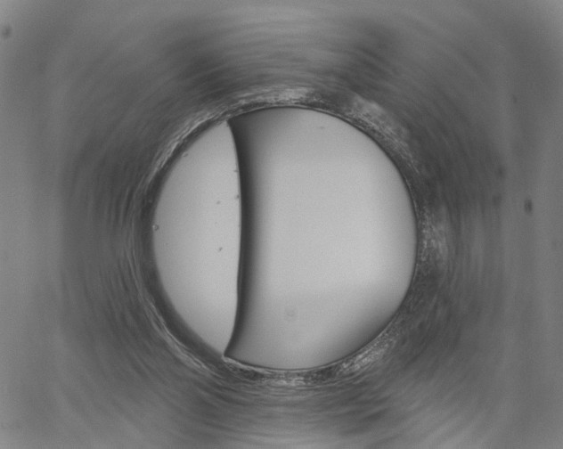 X0000061730110200512021026