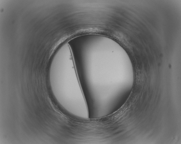 X0000061730111200512021026